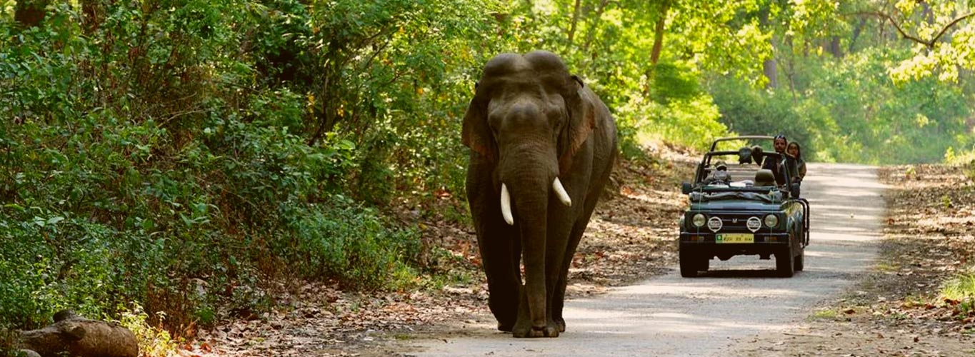 Rajaji National Park