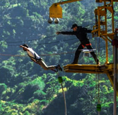 Bungee Jumping