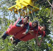 Flying Fox